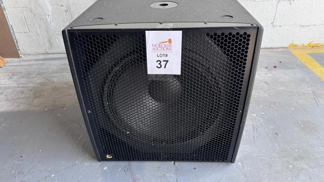 IDEA PRO AUDIO BASSO 18 W INDOOR SUBWOOFER