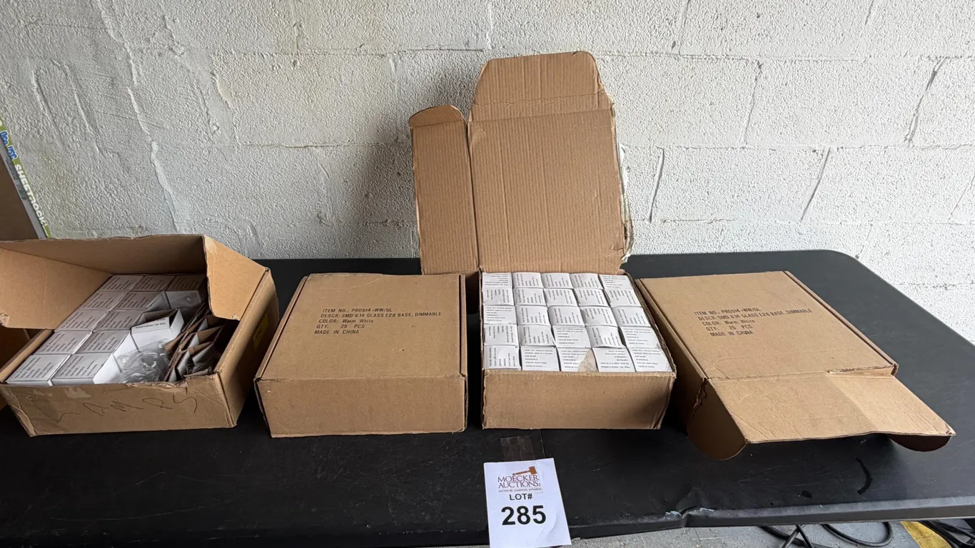 BOXES OF E26 BASE DIMMABLE STRING LITHING BULBS