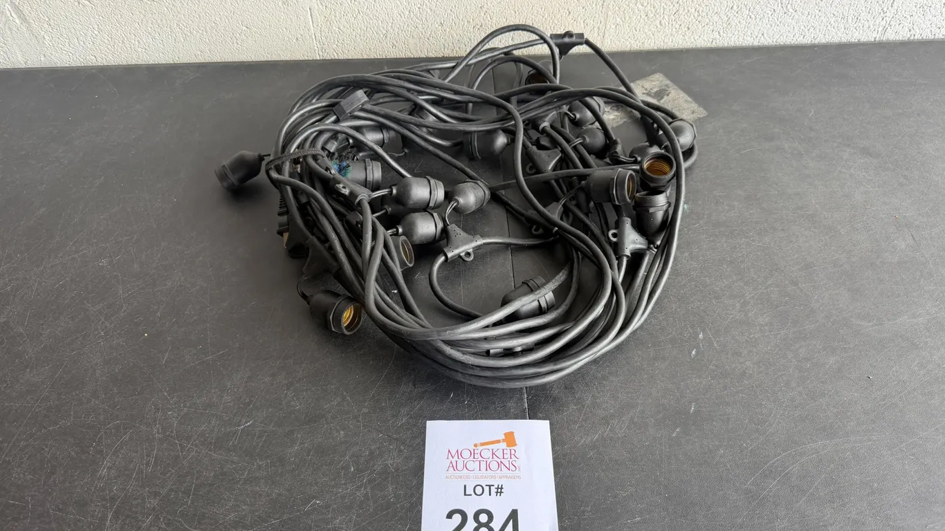 STRING LIGHTING 25' EACH