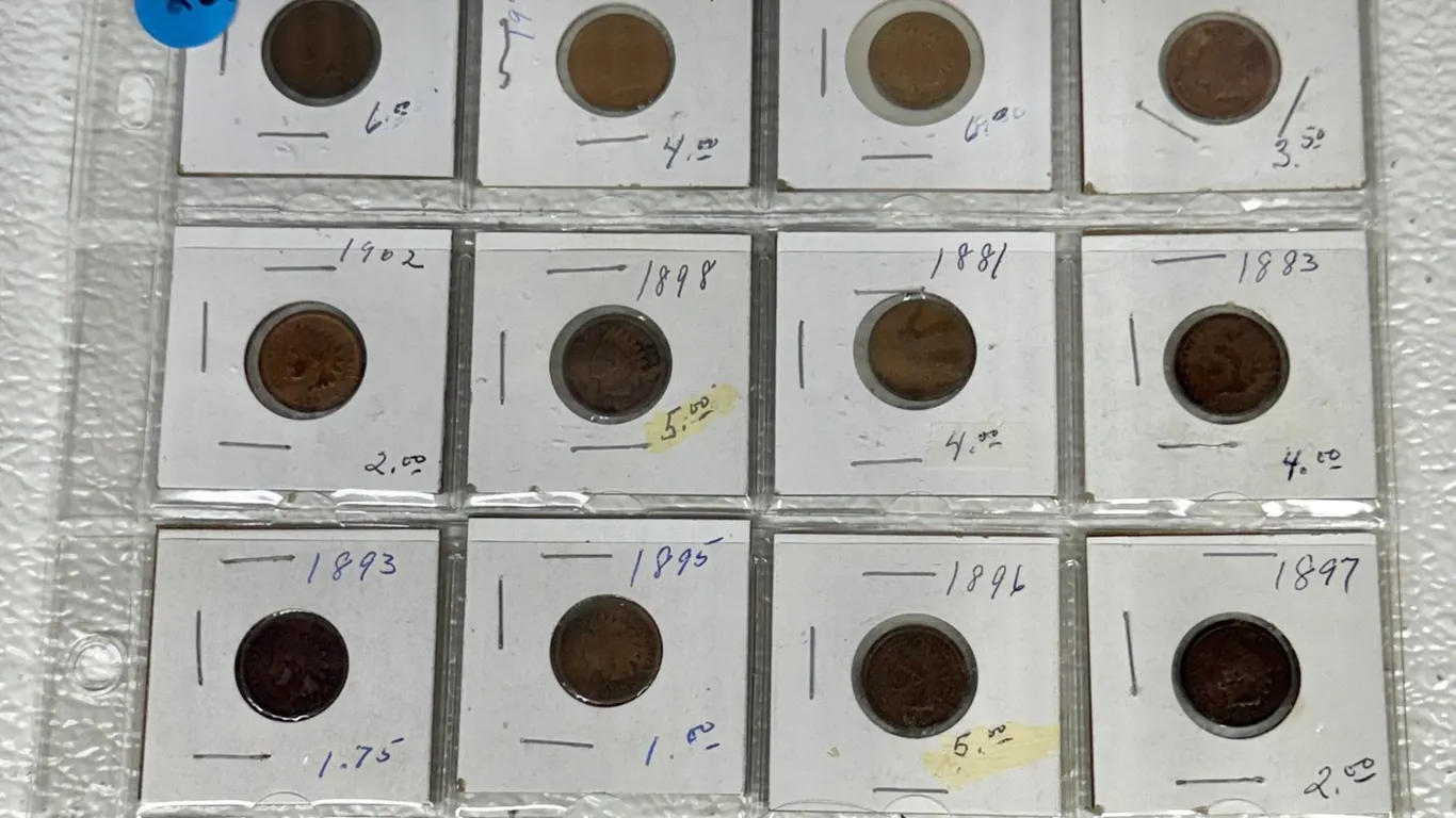 12 Indian Head Cents 1881-1909