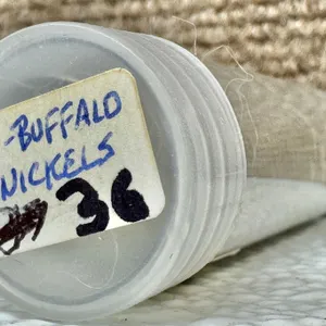 Tube of 36 Buffalo Nickels