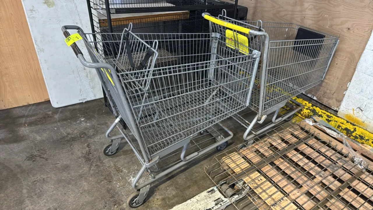 Coated metal conventional shopping carts. Features wire baskets, folding child seats with safety straps, lower merchandise trays, and swivel front cas