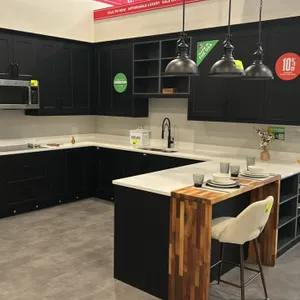 Infinity Plus laminate kitchen cabinet suite. Features upper and lower shaker-style cabinets, open shelving, solid surface countertops, butcher block 