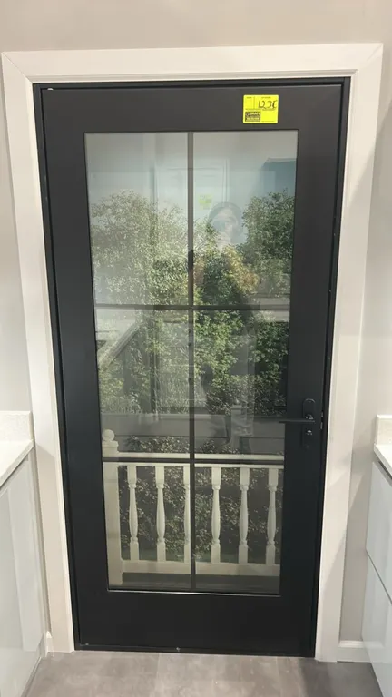 Glass panel metal door. Features a black frame, divided-lite glass panel insert, and integrated lever handle hardware. 38" x 81".