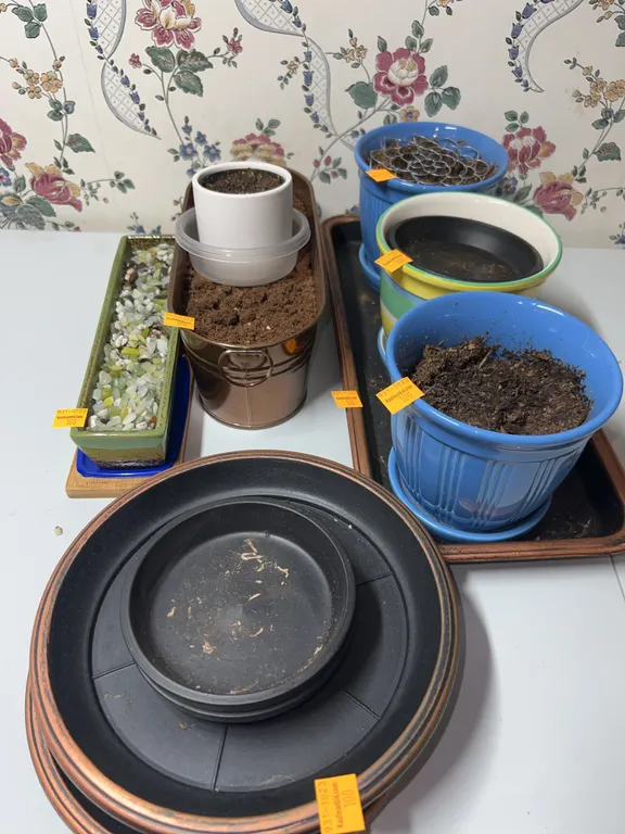 Assorted Planters
