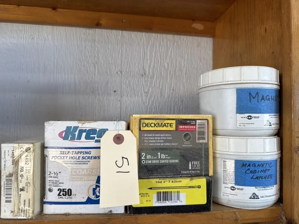 Assorted screws and magnets.