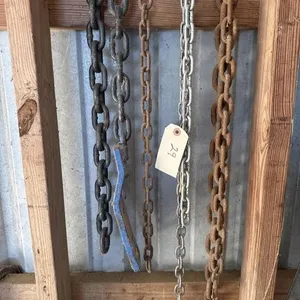 Assorted chains all different lengths.