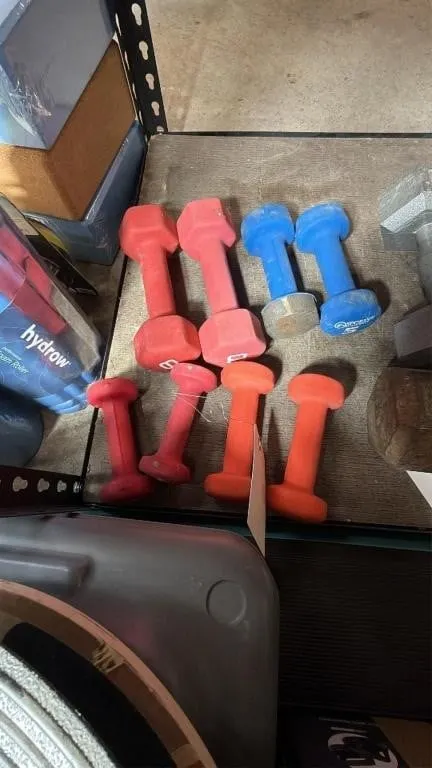 Set of 8 Handheld Dumbbells