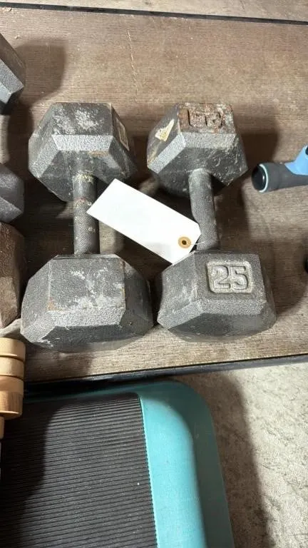 Set of Two 25lb Hex Dumbbells