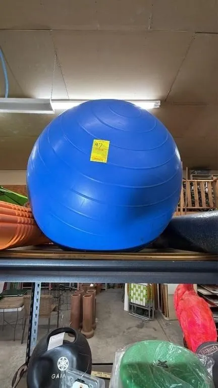 Exercise Stability Ball