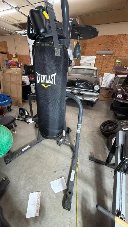 Everlast Boxing Stand with Heavy and Speed Bag