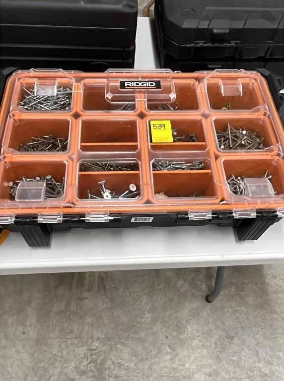 Ridgid Professional Small Parts Organizer Case