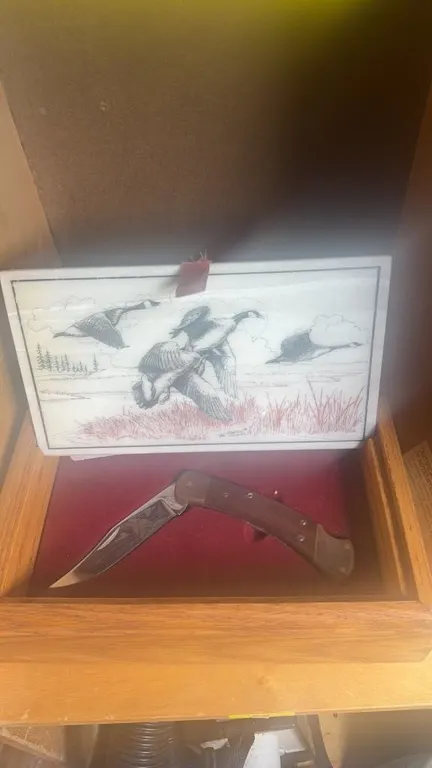 BUCK MODEL 110 LIMITED EDITION KNIFE
