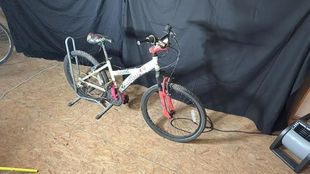 Avigo 24" GIRLS Mountain Bicycle