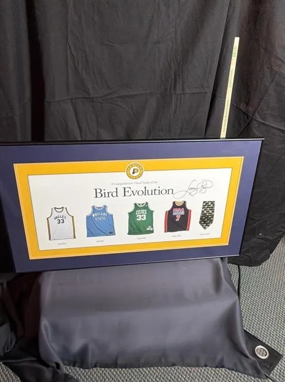 Larry Bird Evolution Framed Memorabilia Display