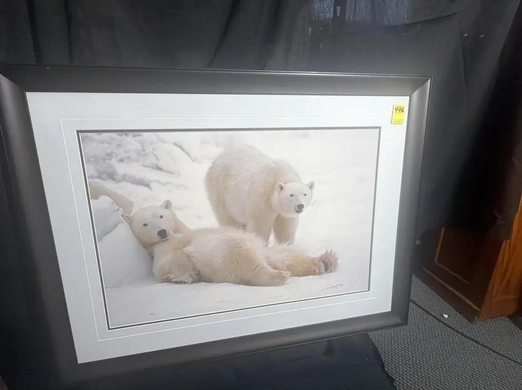 Framed Polar Bear Wildlife Print, 1992