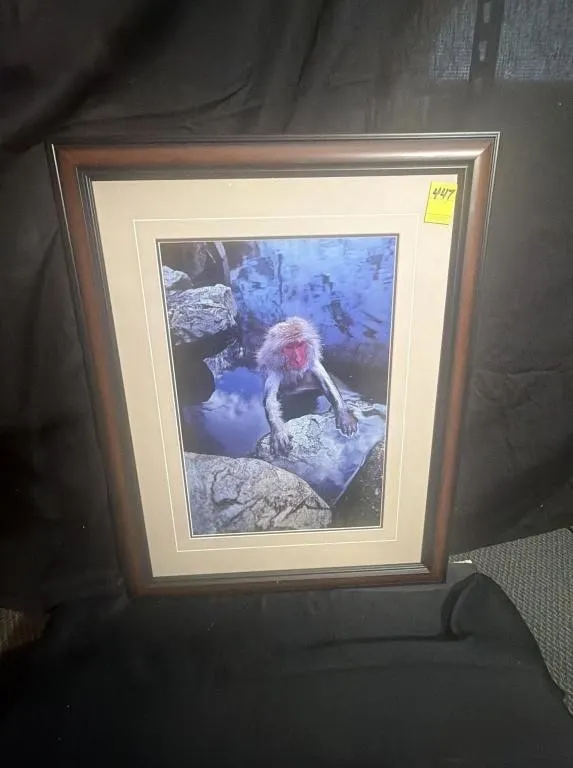Framed Snow Monkey in Thermal Spring Print