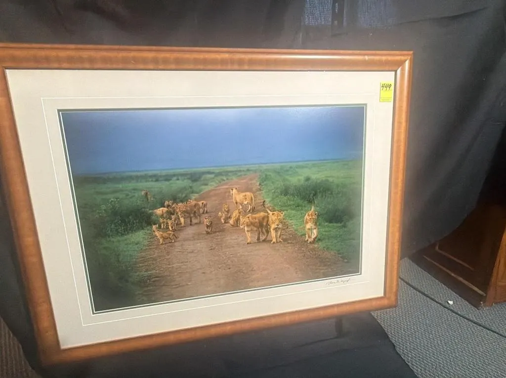 Framed Lion Pride Savanna Art Print