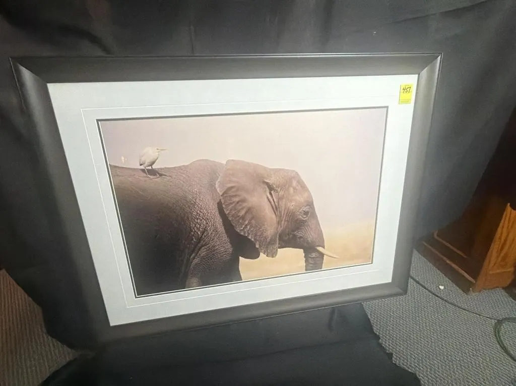 Framed African Elephant and Bird Print
