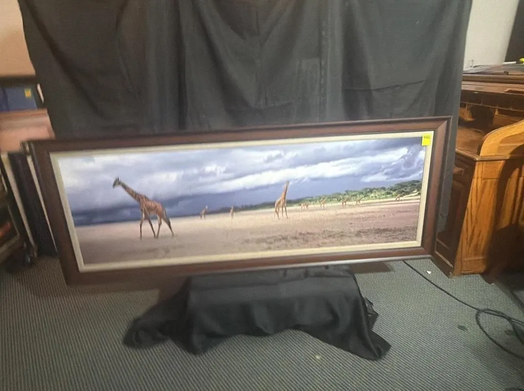 Framed Panoramic Giraffe Wildlife Print