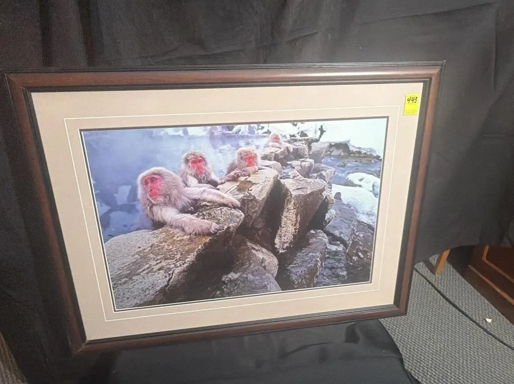 Framed Japanese Macaque Snow Monkey Print