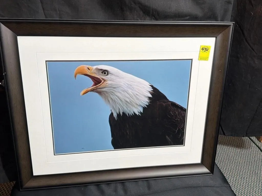 Bald Eagle Framed Limited Edition Print