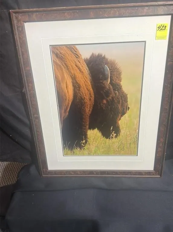 Framed Bison Wildlife Print, Limited Edition