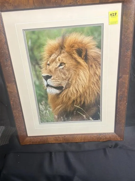 Framed Lion Portrait Wall Art