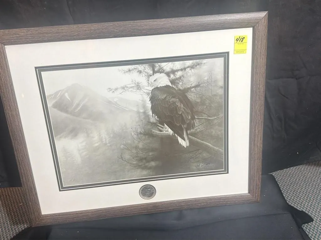 Framed Bald Eagle Print with NRA Commemorative
