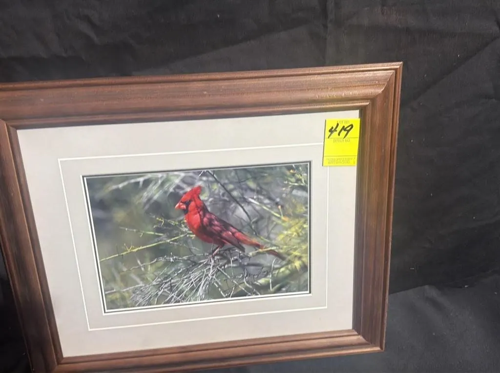 Thomas D. Mangelsen Framed Cardinal Photograph