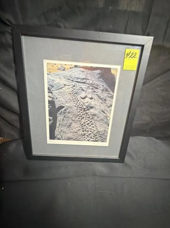 Signed Limited Edition Framed Photographic Print