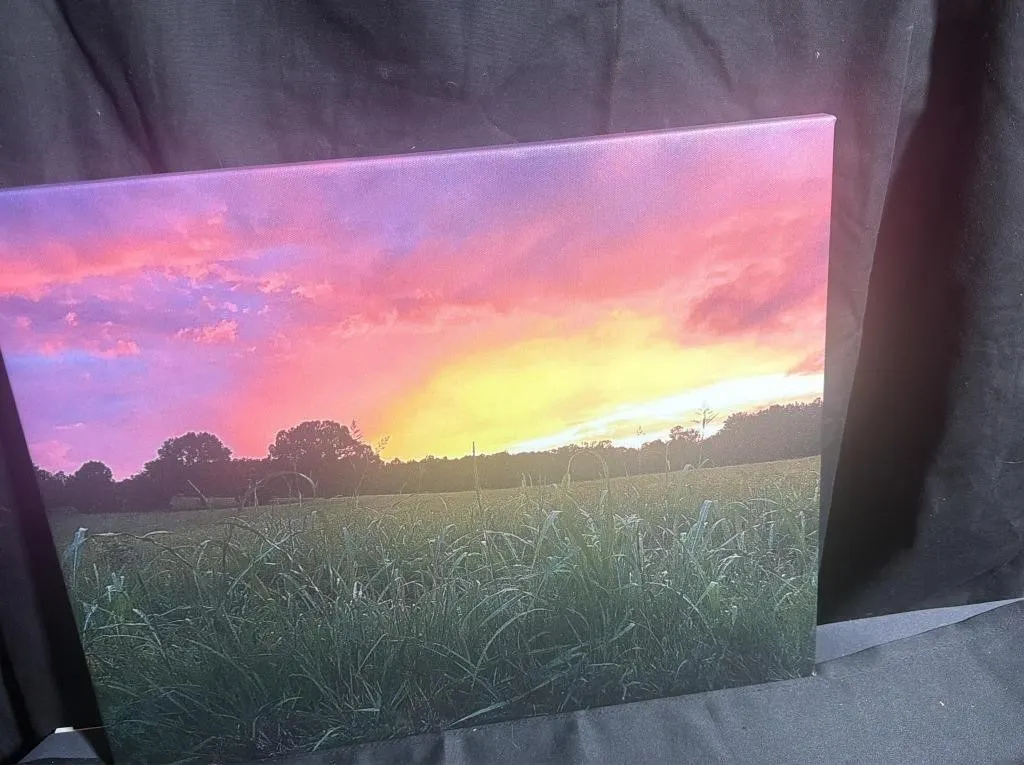 Sunset Meadow Landscape Canvas Art