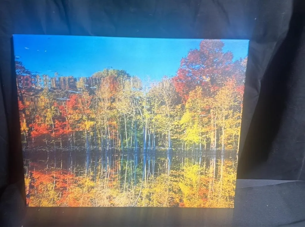 Autumn Forest Reflections Canvas Wall Art