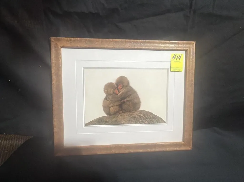 Thomas D. Mangelsen Framed Snow Monkey Print