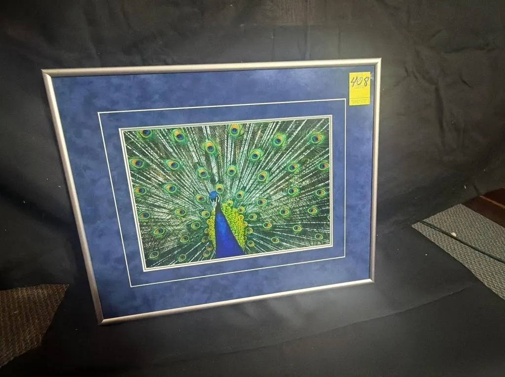 Thomas D. Mangelsen Peacock Framed Print
