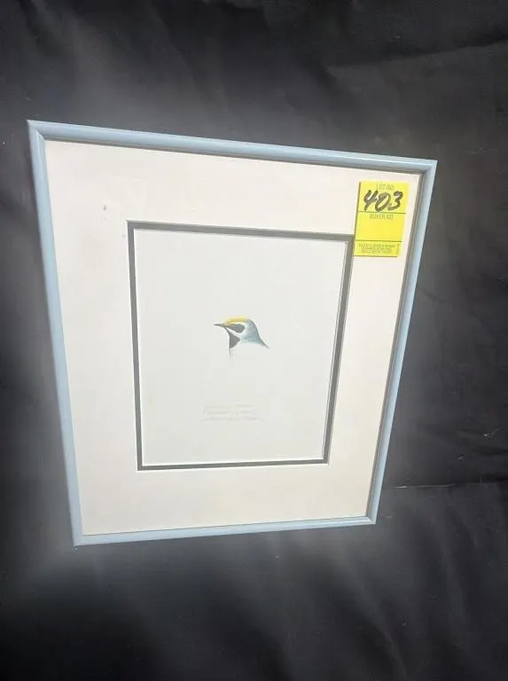 Framed Golden-Winged Warbler Print
