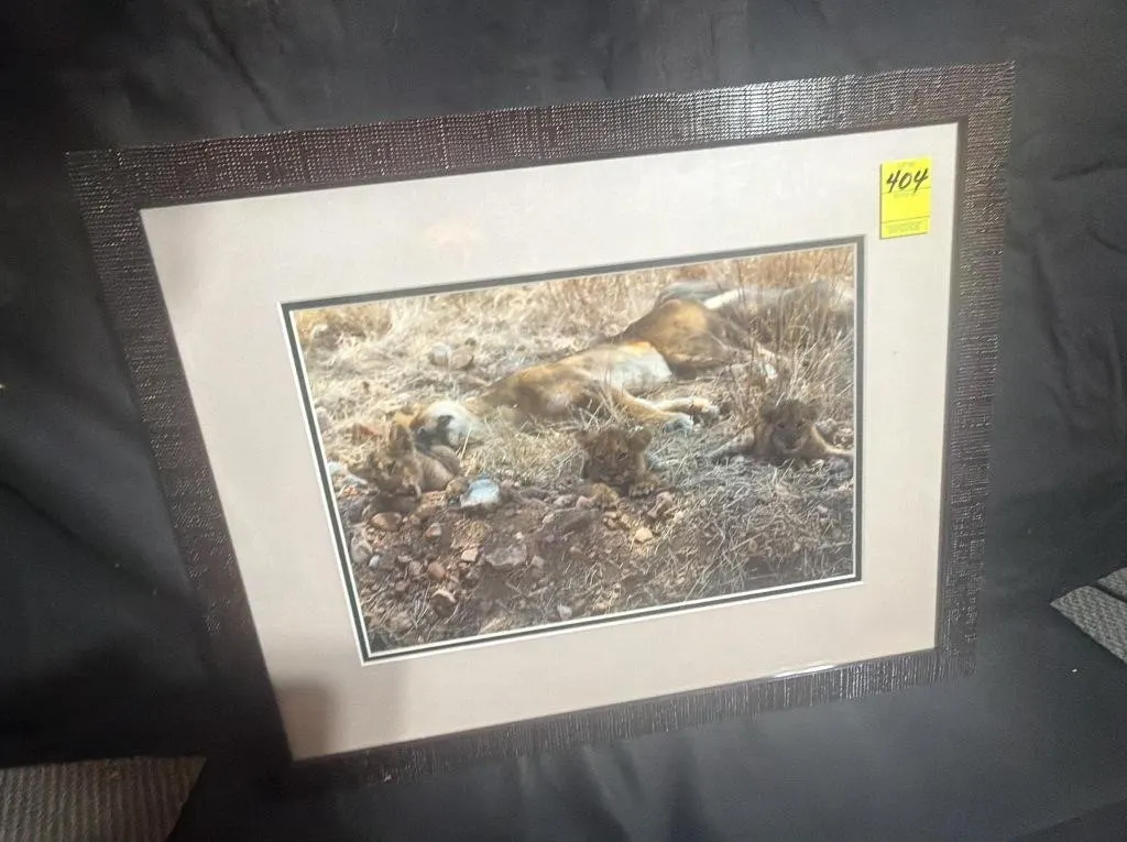 Framed African Lioness and Cubs Wildlife Print