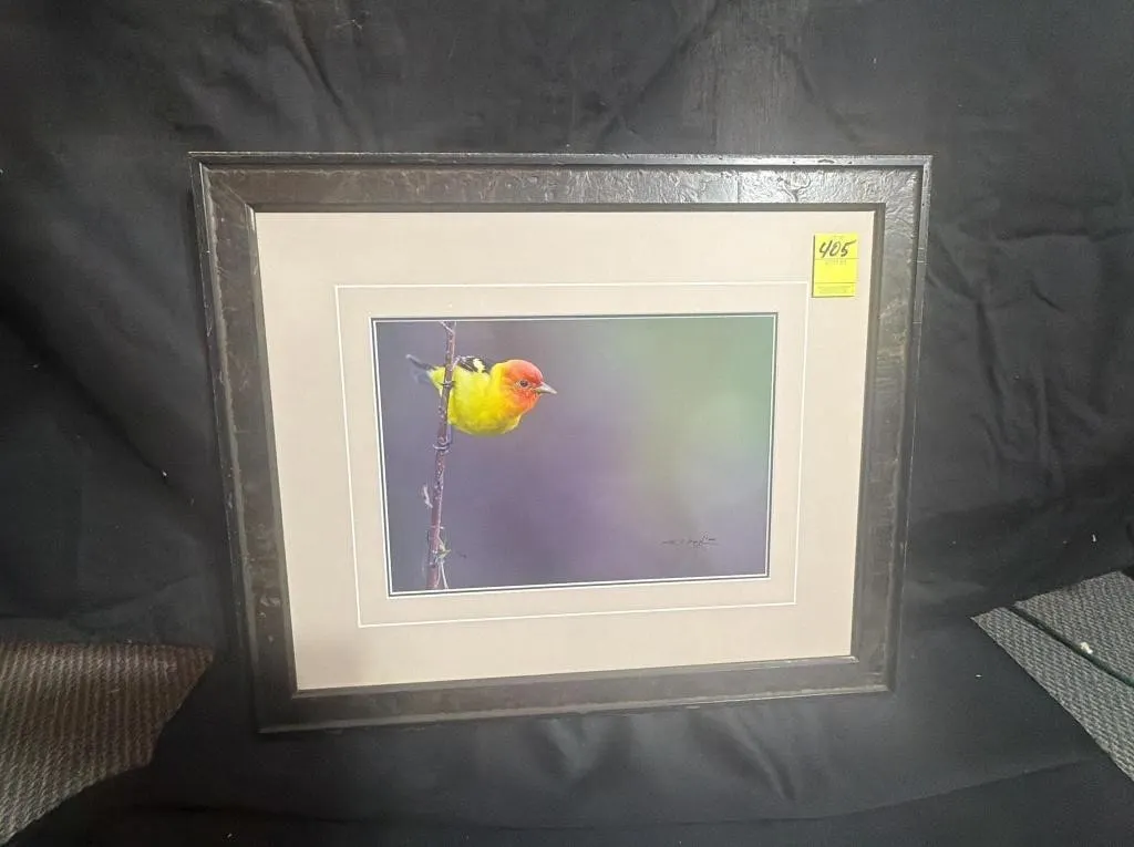 Thomas D. Mangelsen Framed Bird Photograph