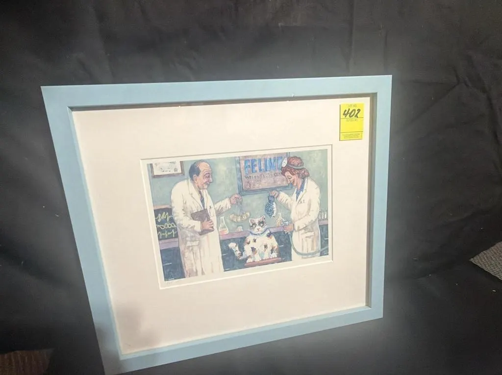Jonathan Heath Feline Vet Clinic Framed Print