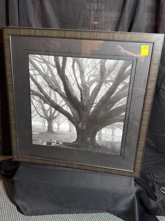 Framed Black and White Tree Landscape Photograph