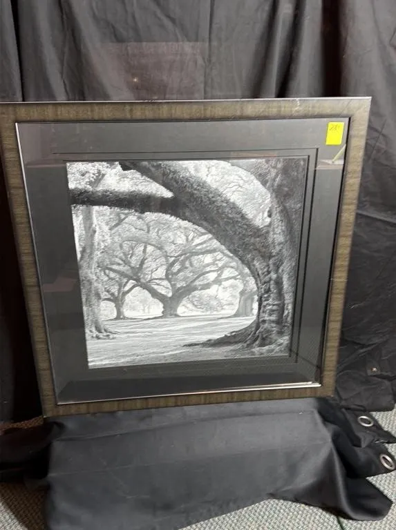Framed Black and White Oak Tree Landscape Art