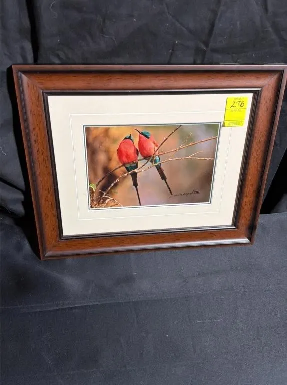 Framed Bird Wildlife Print