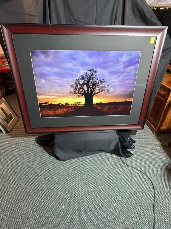 2 Pictures Framed African Baobab Sunset Print