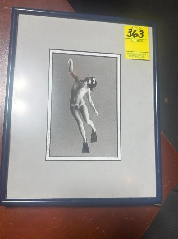 Chris Adair Framed Underwater Photography Print