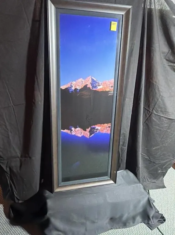 Thomas D. Mangelsen Nature Landscape Framed Print