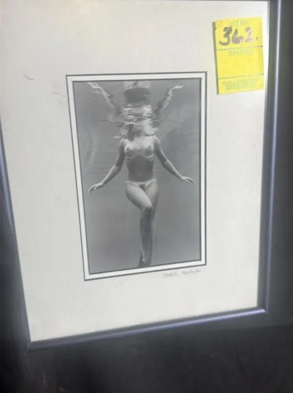 Framed Underwater Photography by Chris Adair