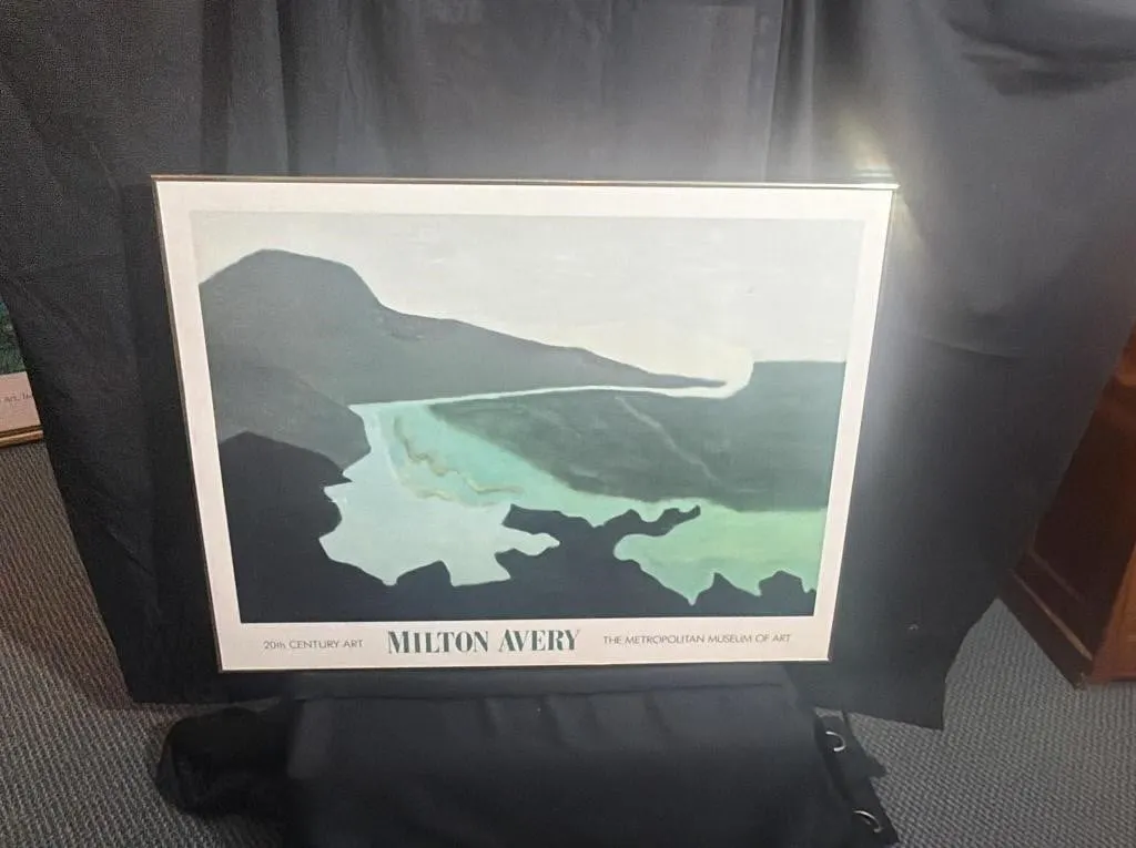 Milton Avery Metropolitan Museum of Art Print