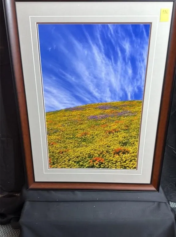 Thomas D. Mangelsen Framed Landscape Photograph
