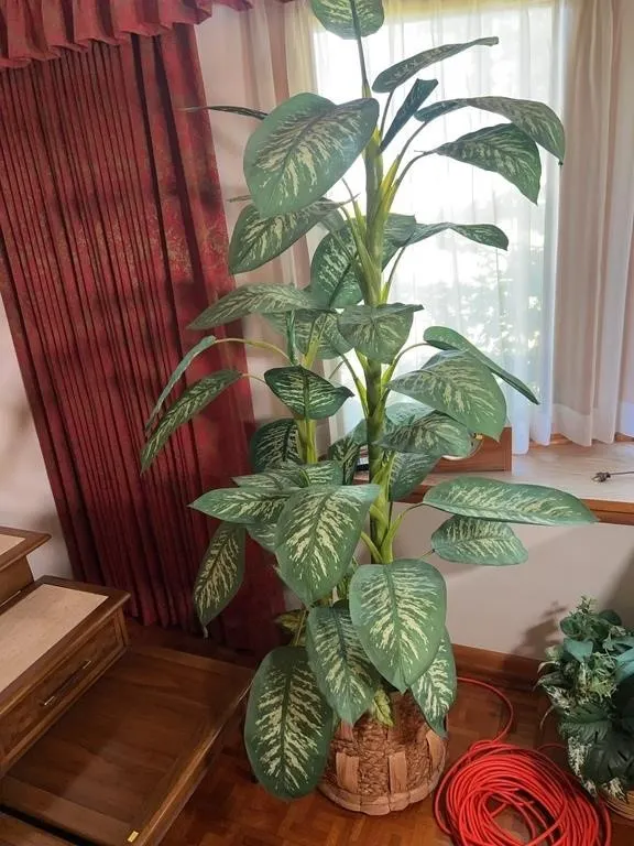Large Potted Faux Dieffenbachia Amoena Dumb Cane S