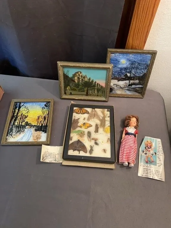 Framed Reverse Glass Paintings Insect Taxidermy Di